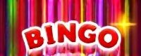 bingoplus app
